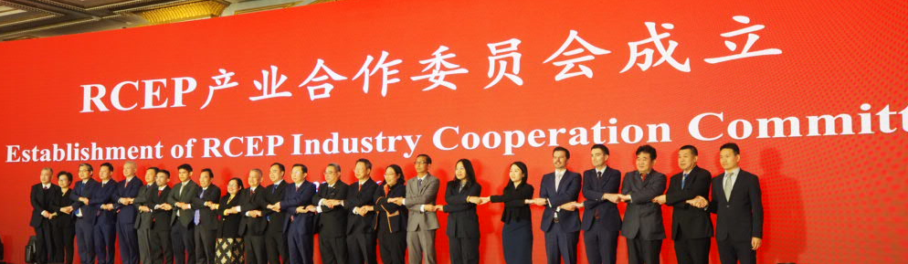 中国建材联合会副会长、中国建筑材料企业管理协会会长张东壮参加RCEP产业合作委员会成立大会